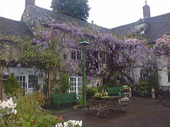 [Image: Ancient%20Ram%202.jpg]